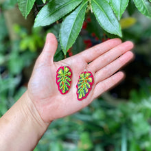 Load image into Gallery viewer, Tropical Leaf Earrings